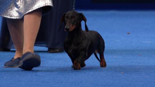 为什么选择我们